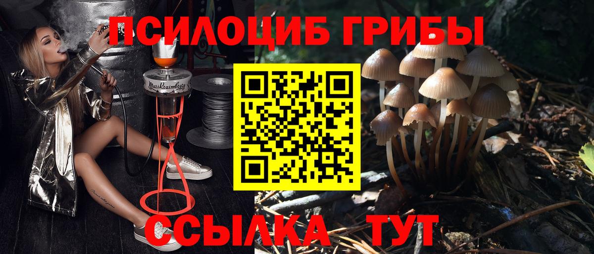 Шебекино  Галлюциногенные грибы Cubensis  Псилоцибиновые грибы GOLDEN TEACHER  Вход с VPN 