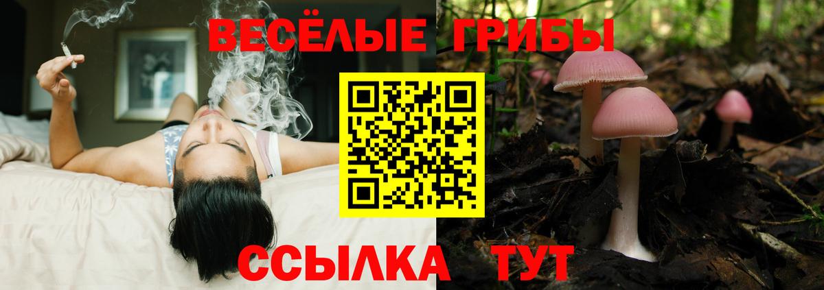 Галлюциногенные грибы Magic Shrooms Шебекино