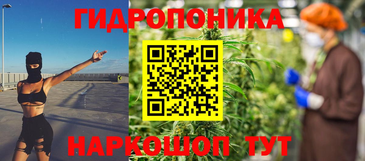 Бошки марихуана планчик Шебекино